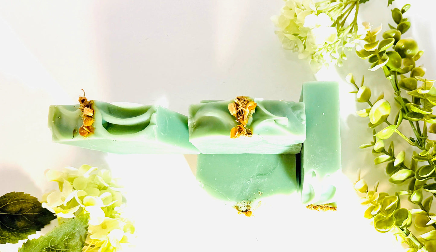 Aloe & Agave Soap