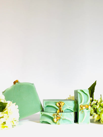 Aloe & Agave Soap