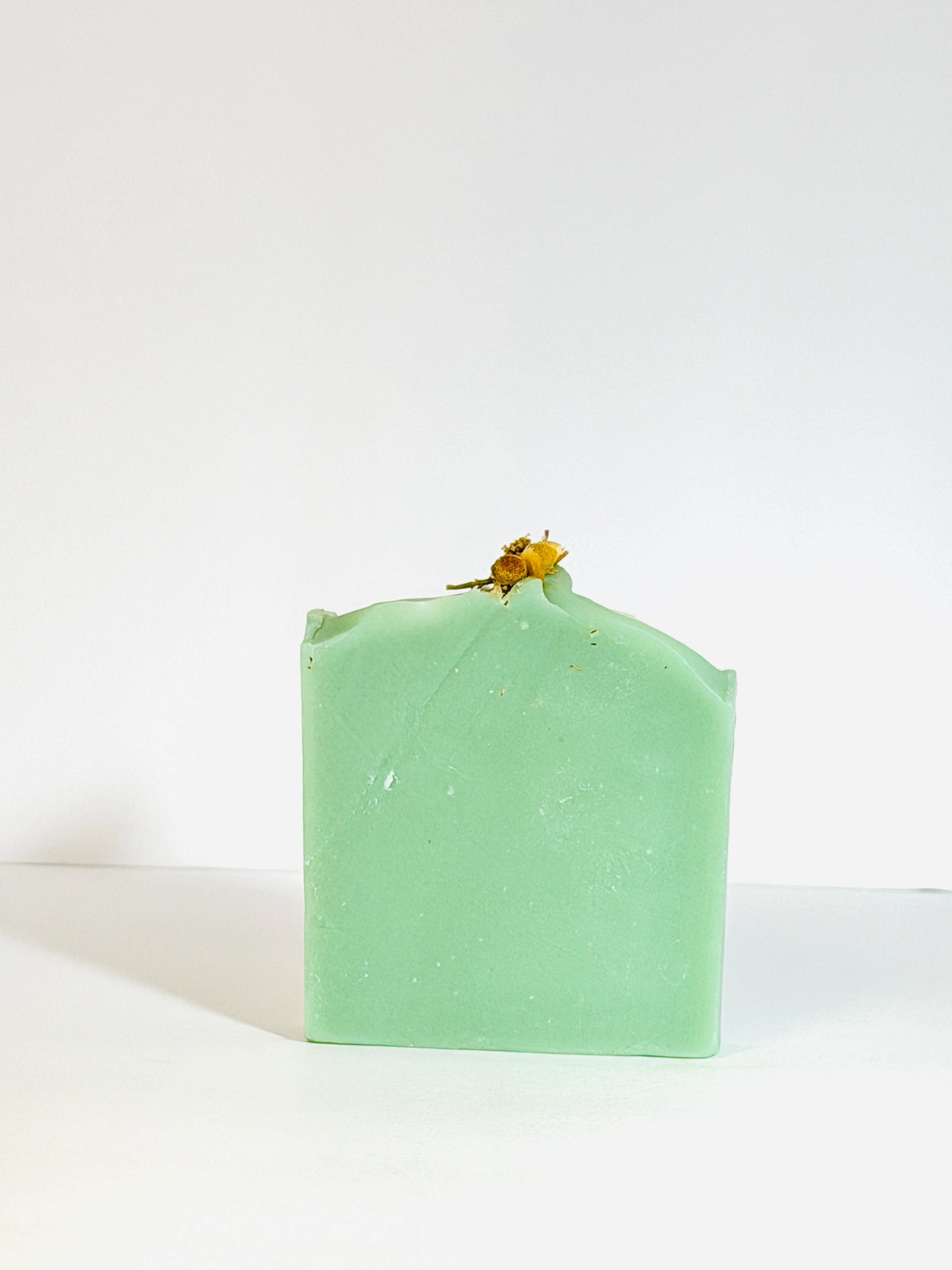 Aloe & Agave Soap
