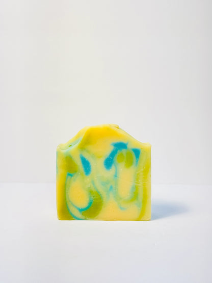 Eucalyptus + Mint Soap