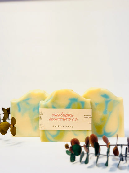 Eucalyptus + Mint Soap