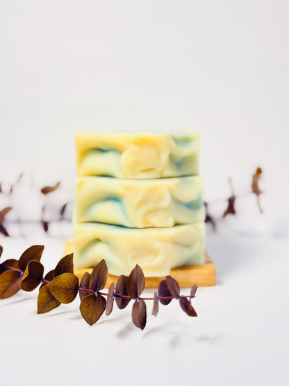 Eucalyptus + Mint Soap