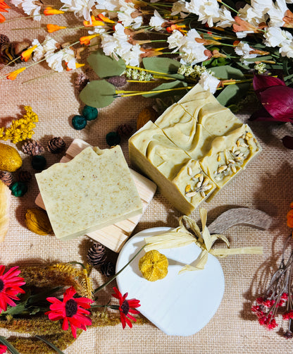 Citrus + Sandalwood Hand & Body Soap